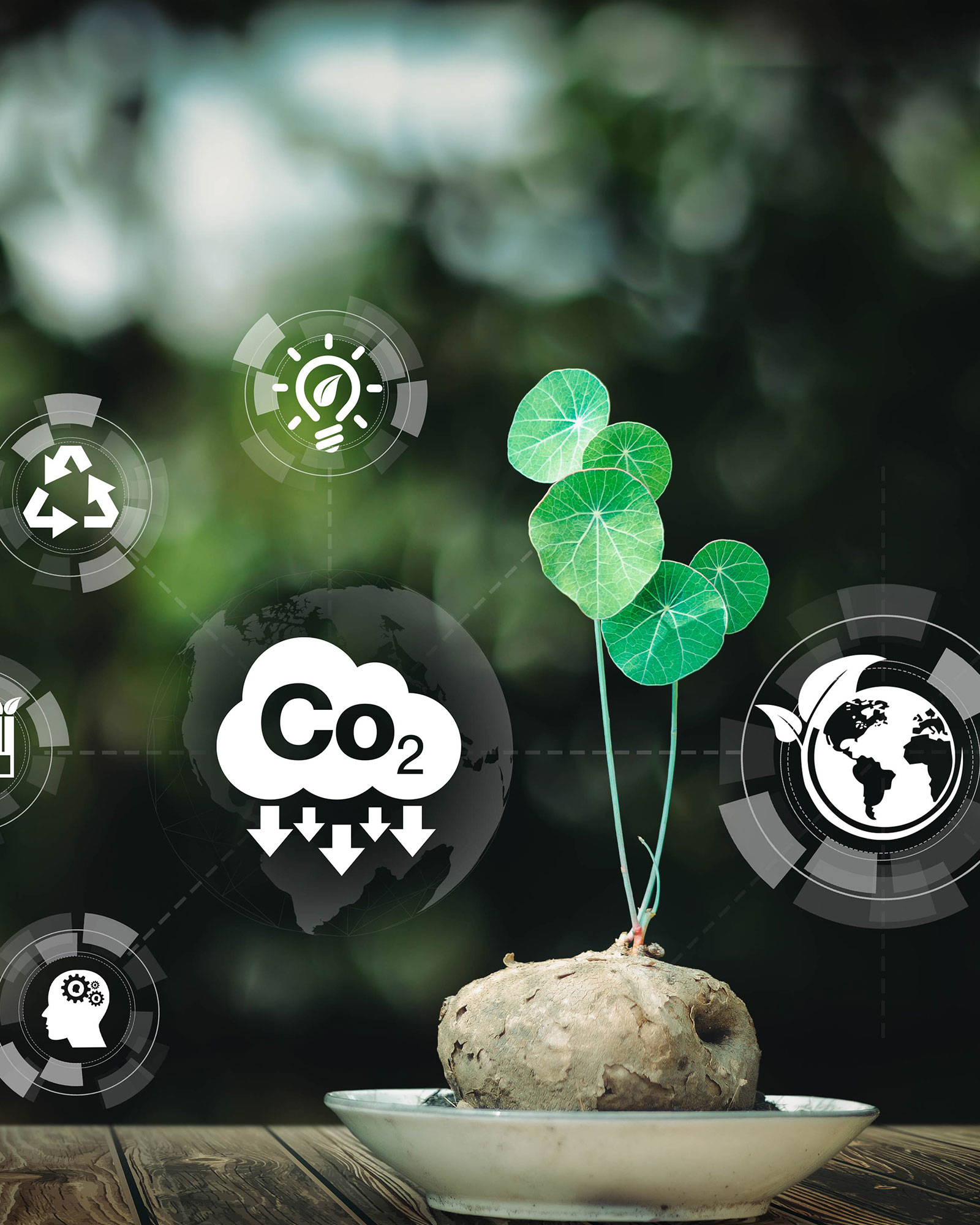 India can balance economic growth with reducing emissions.