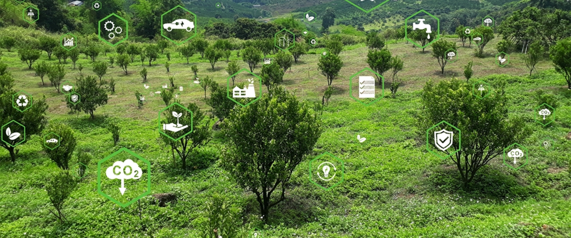 Achieving Energy Independence in India